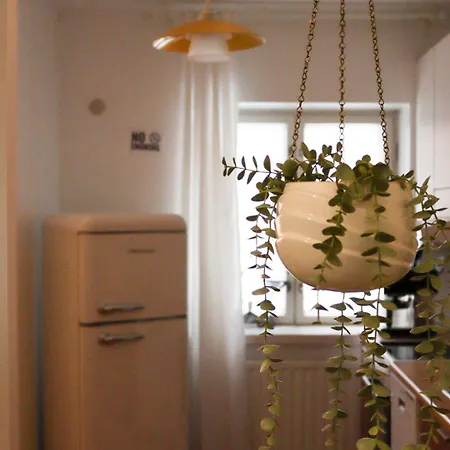 アパート The Modern Fifties