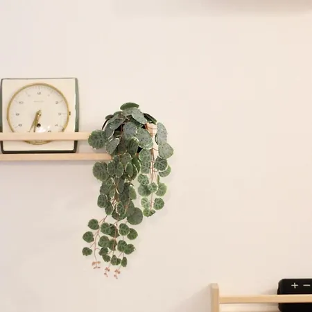 アパート The Modern Fifties *